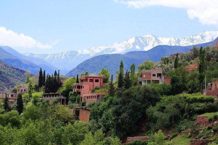 Atlas Mts. & Berber Village Day Trip from Marrakech (Min 2 p)