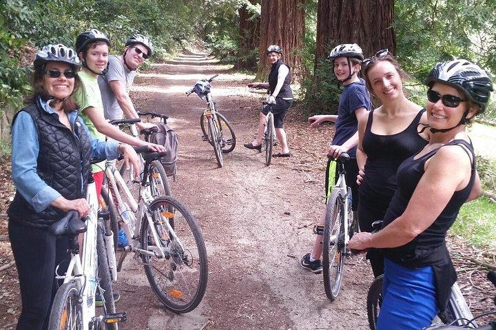 Full-Day Tuscan Countryside Bike Tour