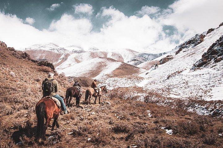 The Real Gaucho Day Trip from Mendoza - Don Daniel Ranch
