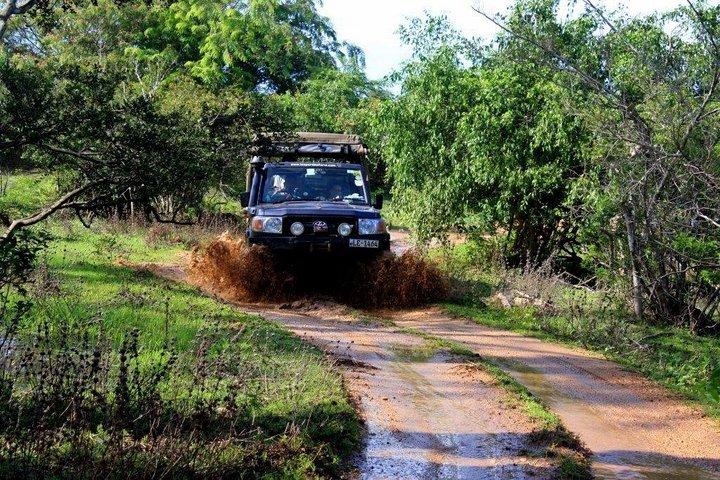 VALUE PACK! One Day Safari Tour to Yala and Udawalawa Parks