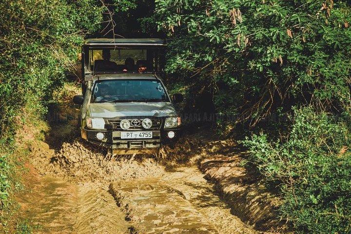 Yala Safari Tour from Hambantota Port (Shore Excursion)