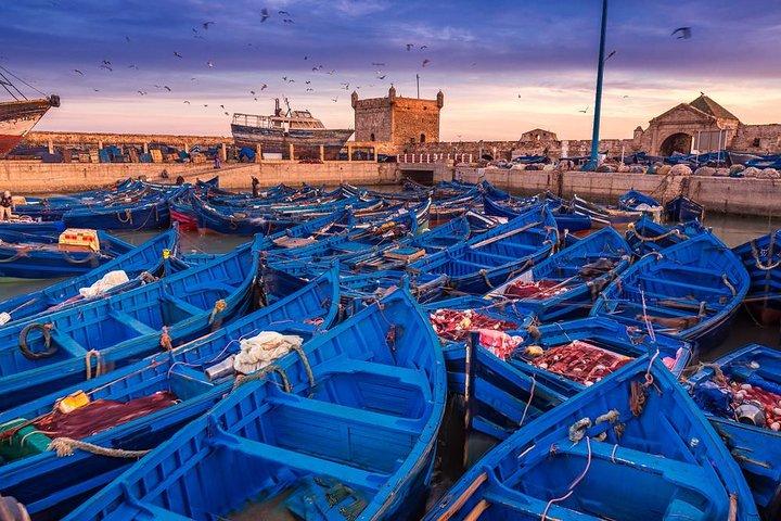 Discover Essaouira In One Day Trip from Agadir
