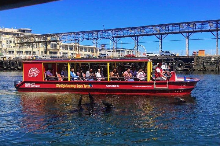 Cape Town 30-minute V&A Harbour Cruise