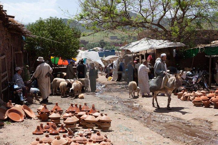 Private day trip to Ourika valley and Atlas Mountains