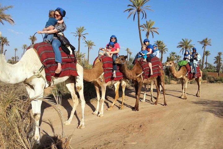 Marrakech Activities: Camel Ride Tour