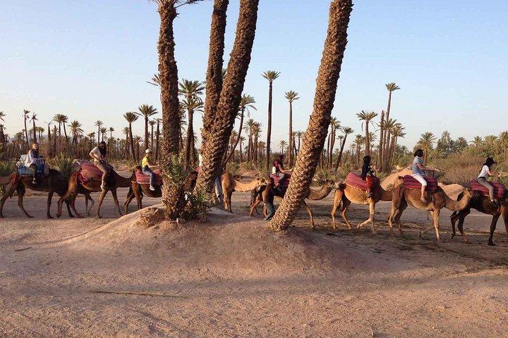 Marrakech Activities: Camel Ride Tour