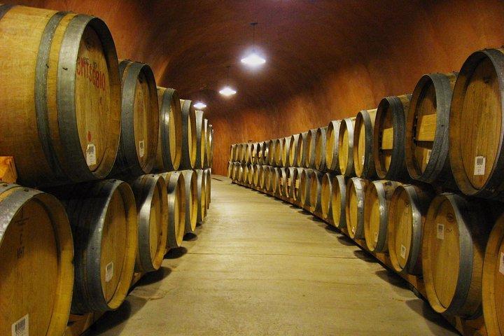 Napa and Sonoma-8-hr Private-Wine Tour from San Francisco XL SUV