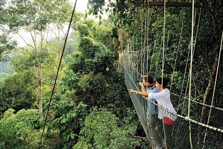 Amazing Taman Negara Day Trip from Kuala Lumpur Including Lunch