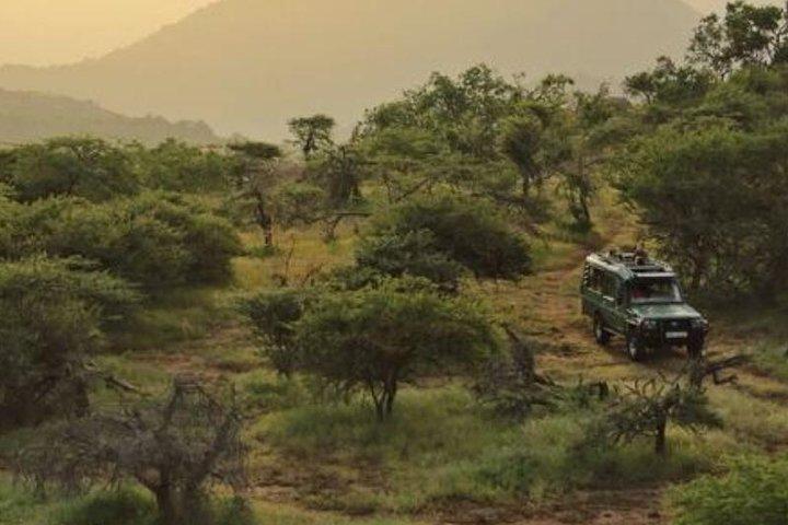 Best of Kenya Safari