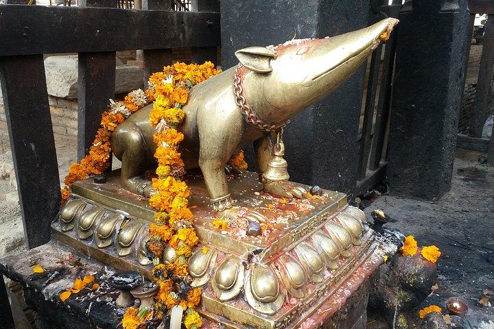 Kathmandu Walking Tour with Local Guide & Authentic Food Tasting