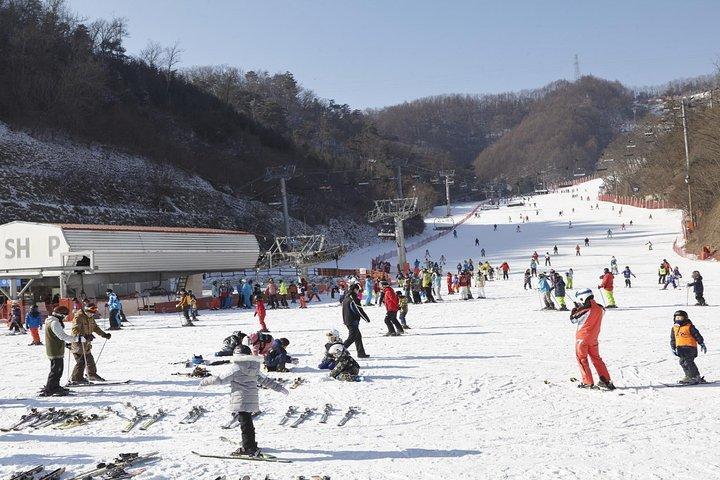 Private Ski Tour(Lesson) near Seoul at Elysian Gangchon Resort