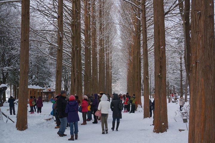 [Perfect Private Tour] Strawberry Farm & Nami Island & Lunch