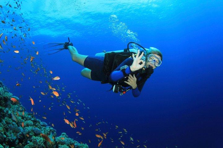 Discover Scuba diving with 2 dives on Koh Tao Or Koh Nangyuan