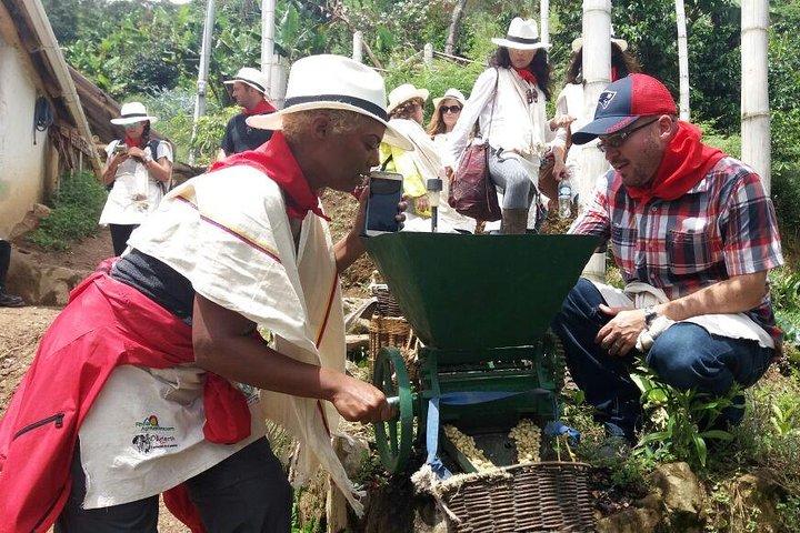 Coffee Tour In Horse Riding and Lunch In Medellin