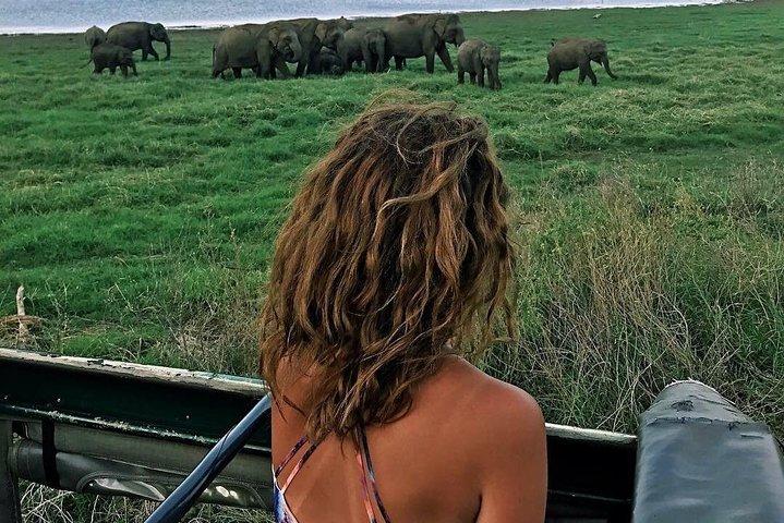 Kandy - Minneriya National park & Sigiriya Rock by tuk tuk tours