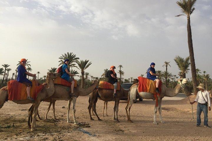 Sunset Camel Ride in the Palm Groves of Marrakech