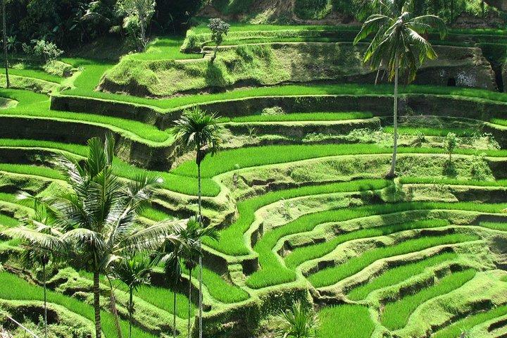 Private Tour: Bali in a Day