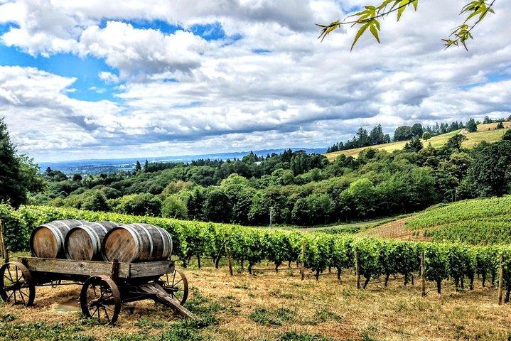 Willamette Valley Wine Tour - Full Day Tour