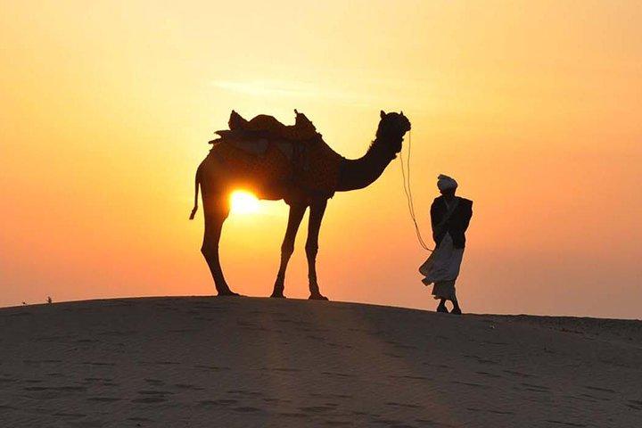 Morning Dune Bashing, Including Camel Riding and Sand Boarding from Dubai
