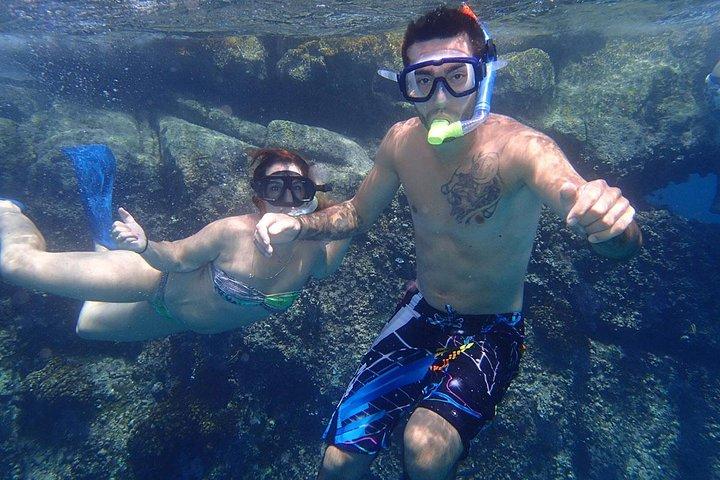 Snorkel Tour and Glass-Bottom Boat Ride in Cabo San Lucas