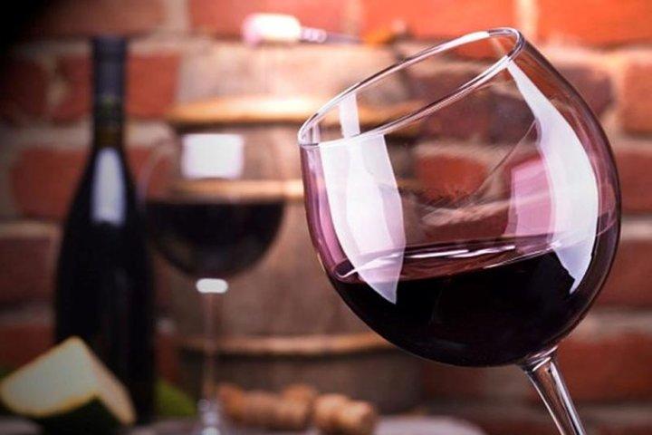 Mendoza Wine Route A Full Day Private Excursion