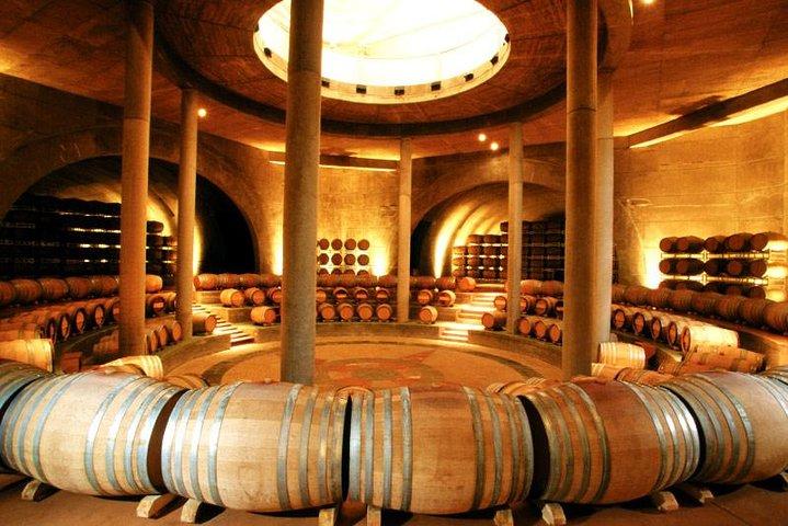 Mendoza Wine Route A Full Day Private Excursion