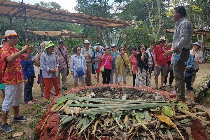 Mayan Village and Tequila Tour