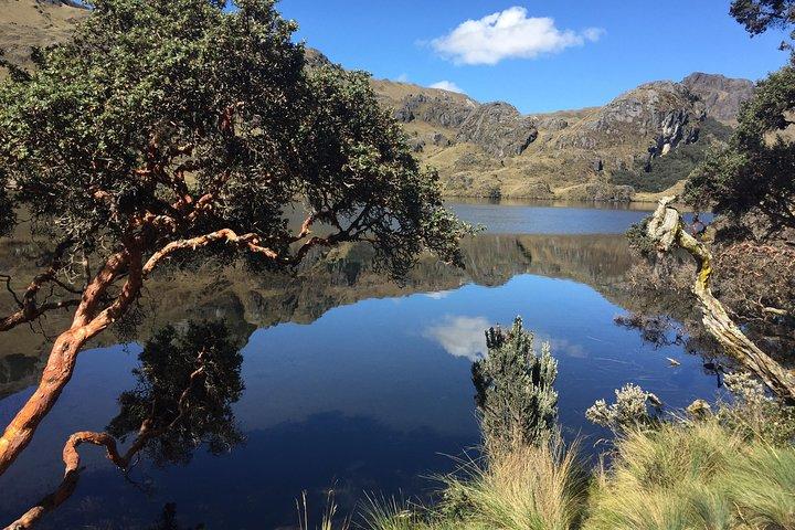 Guayaquil to Cuenca one-way tour with Cajas Park and a Cacao Farm visit