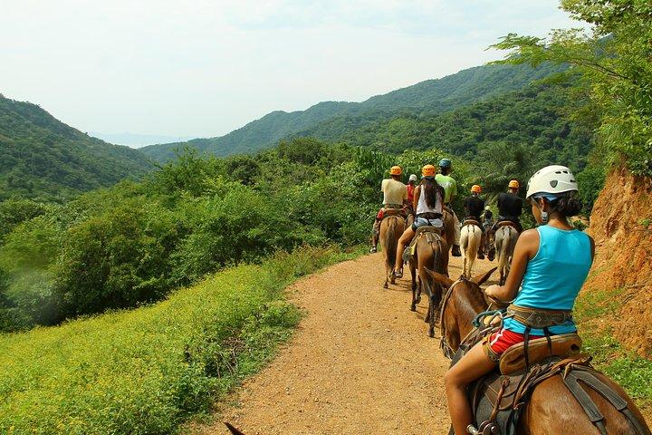 River Park Zipline Tour and Mule Ride