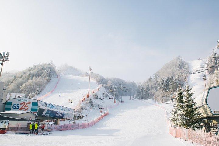 Private Ski Tour(Lesson) near Seoul at Elysian Gangchon Resort