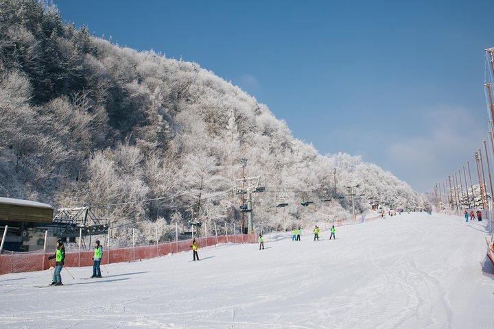 Private Ski Tour(Lesson) near Seoul at Elysian Gangchon Resort