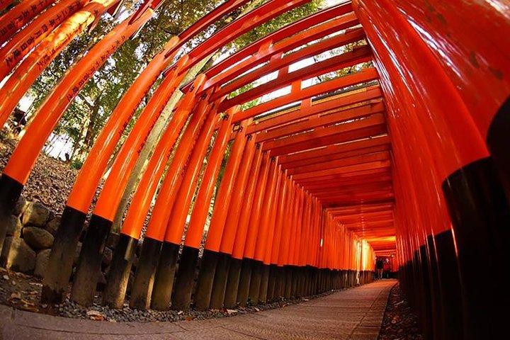 Private Kyoto Custom One Day Tour by Chartered Vehicle