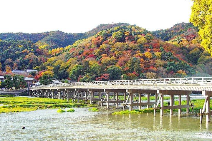 Private Kyoto Arashiyama Custom Half-Day Tour by Chartered Vehicle