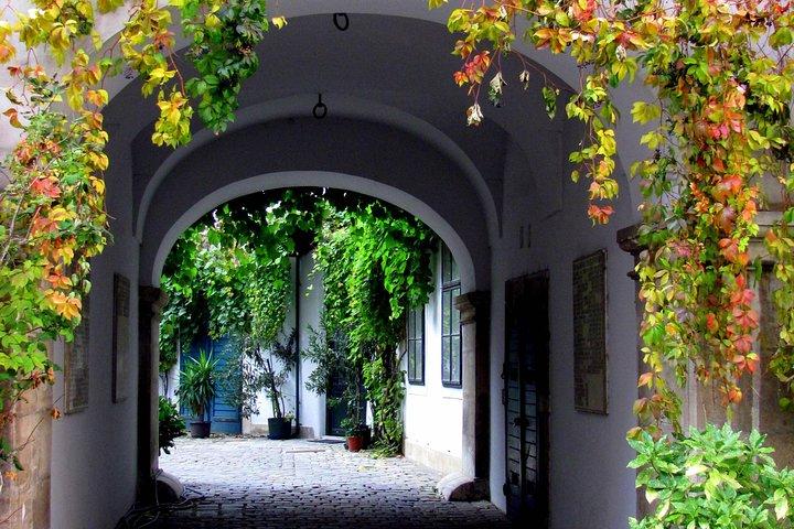 Hidden Gems in Vienna a Private Inner City Walk