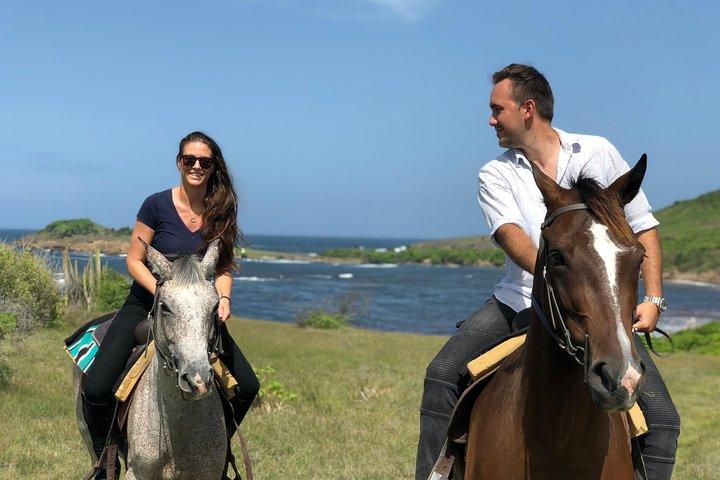 Private Beach Picnic Horseback Ride with Sandy Hoofs St. Lucia