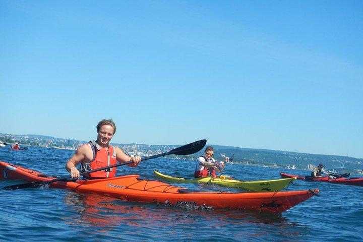 3- Hour Kayak Tour on the Oslofjord