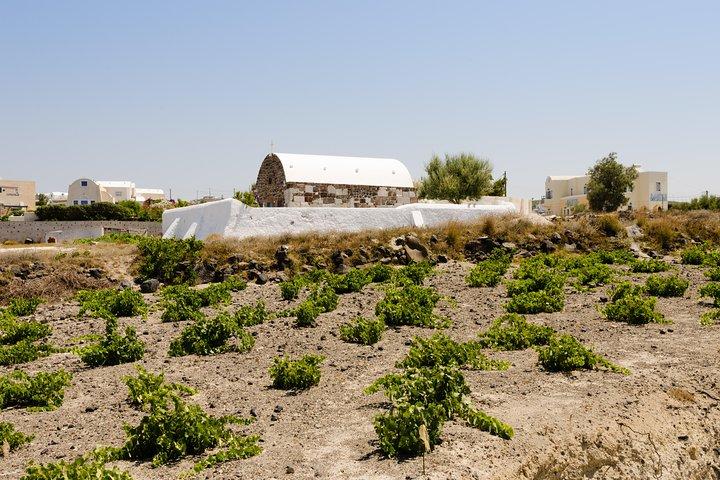 Santorini Full Day Tour: Fira, Oia Sunset & Beach (Small Group)