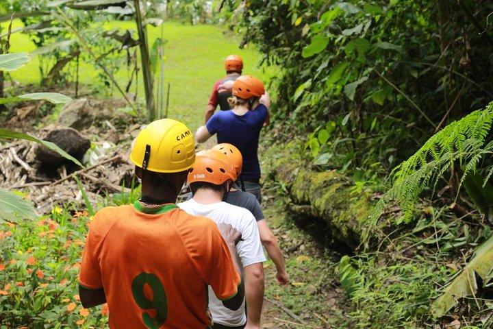 Full-Day Adventure and Nature Tour of the Mindo Cloud Forest from Quito, Ecuador