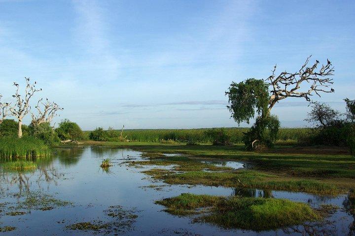 Bundala National Park by Ajith Safari