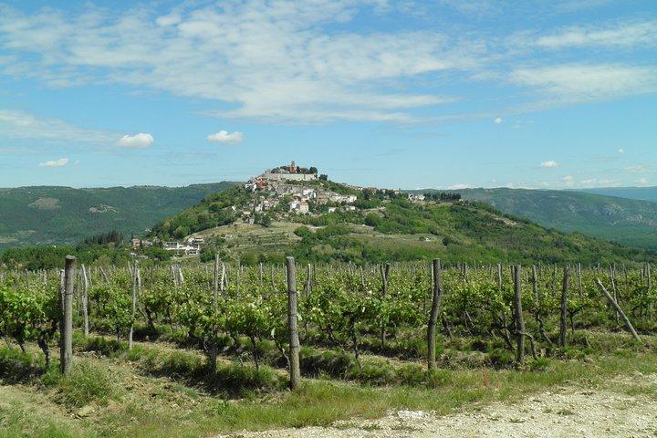Half day trip to Grožnjan and Oprtalj with local delicacies tasting