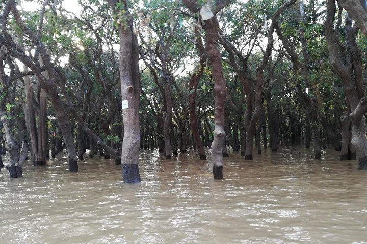 Beng Mealea & Floating Village - Kampong Phluk Tour