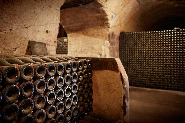 Champagne Private Tour Veuve Clicquot Tasting from Reims Epernay