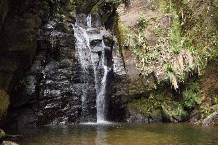 Horto Waterfalls Circuit Adventure Tour in Tijuca National Park