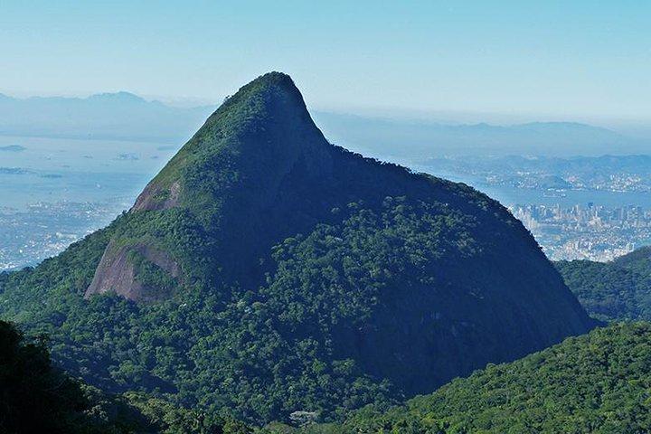 Pico da Tijuca Hiking Tour in Tijuca Forest National Park
