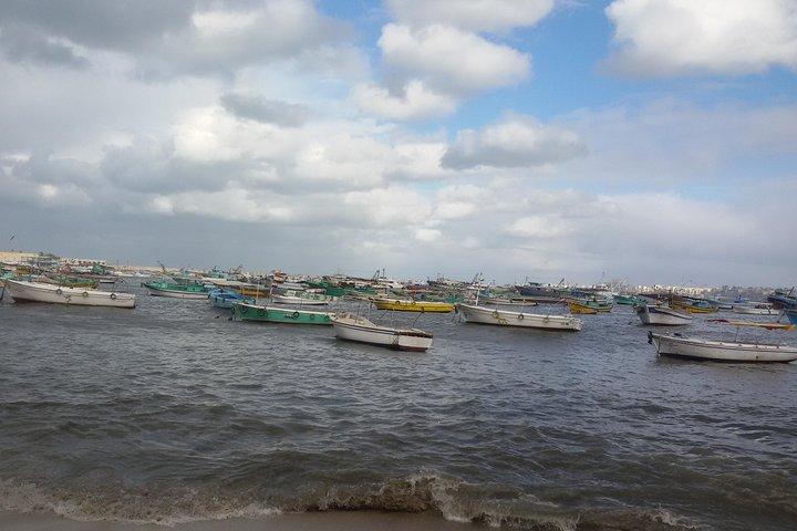 Explore the Treasure of Alexandria with Private Guide, Transportation, and Lunch