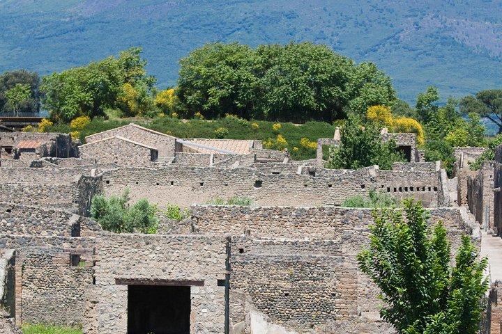 Pompeii Ruins Half-Day Tour from Sorrento with Guide