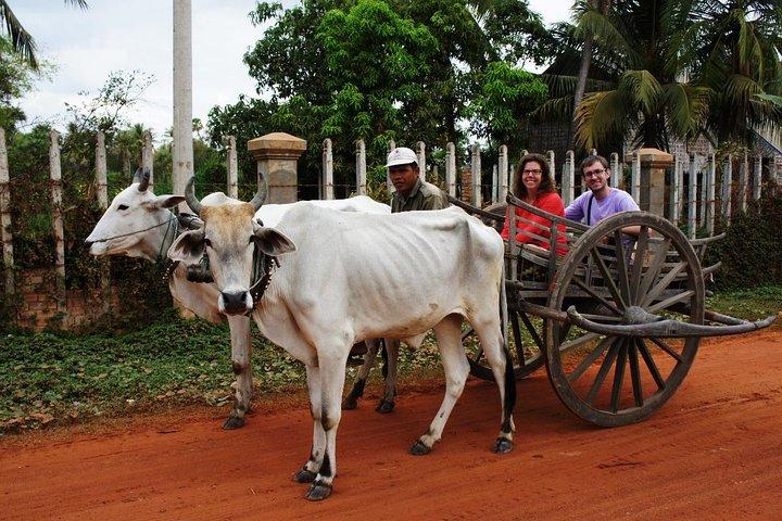 Private Ox Cart Ride and Local village Experience from Siem Reap