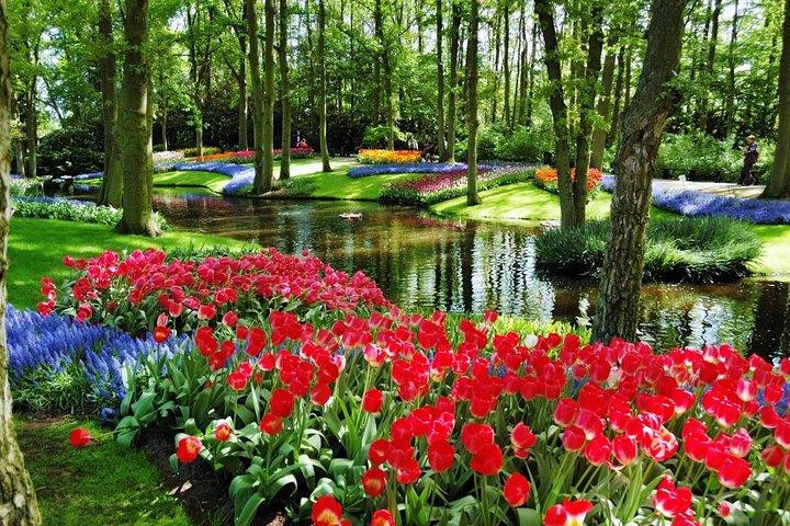 Day Trip to Keukenhof Gardens from Amsterdam with Tour Guide