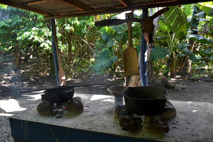 Dominican Republic Countryside Safari Tour from Punta Cana