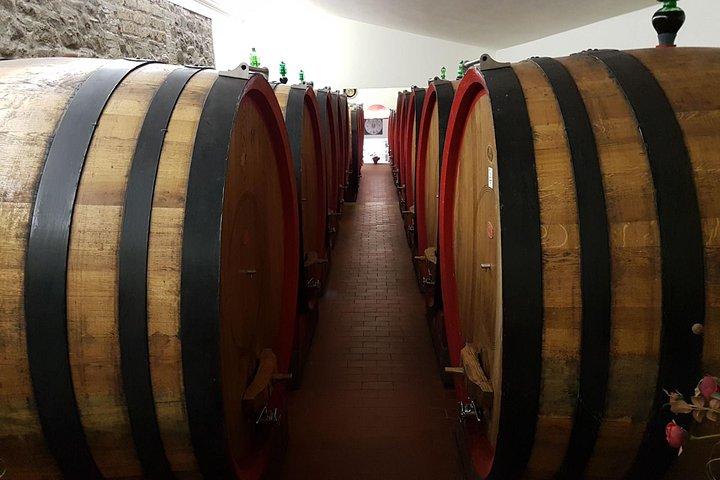 Private Tuscany Wine Tour: Montepulciano and Siena from Florence